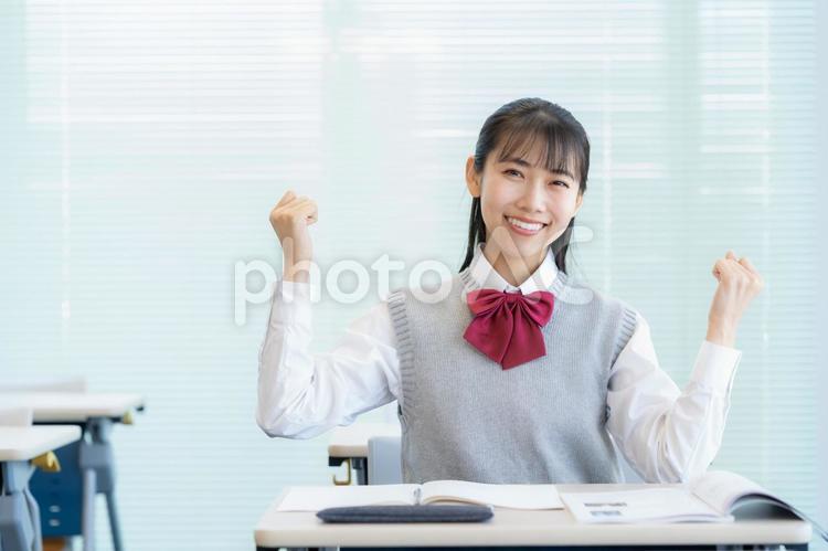 学校で勉強をする女子高生 教育,塾,勉強の写真素材