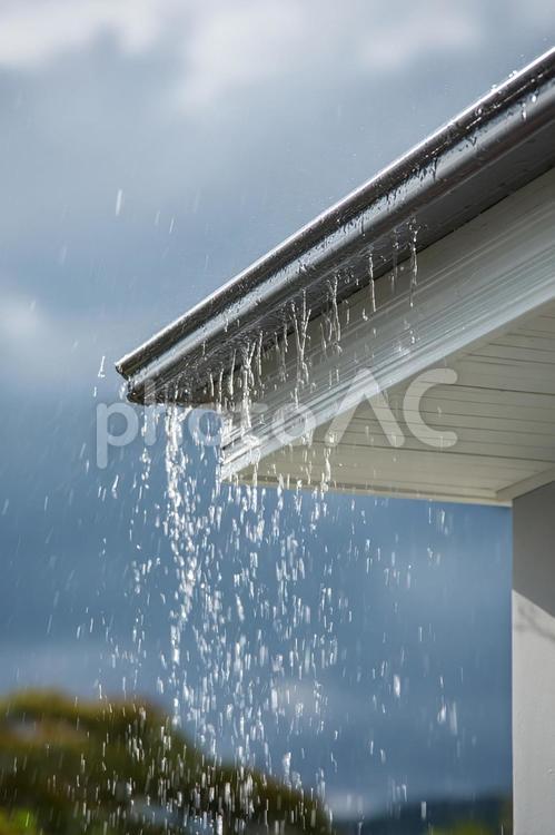 降り注ぐ雨のクローズアップ 雨,雨樋,屋根の写真素材