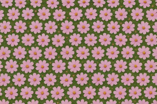 一面の花畑を上から切り取った均一模様 一面の花畑を上から切り取った均一模様の写真