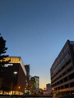 夜景 夜景の写真