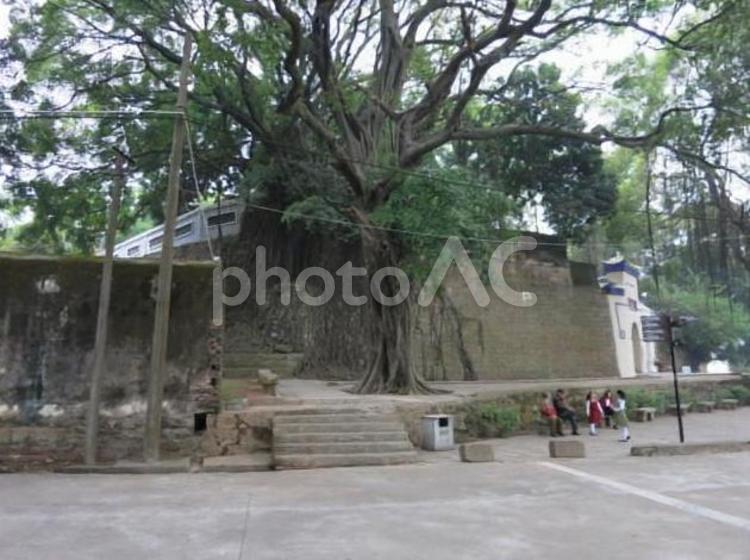 中国　虎門砲台旧跡 虎門砲台,林則徐,中国の写真素材