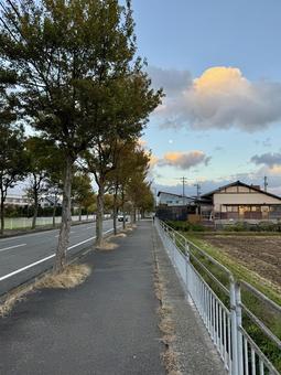 晩秋の田舎の夕暮れ　福井県あわら市 冬,地方,晴れの写真素材