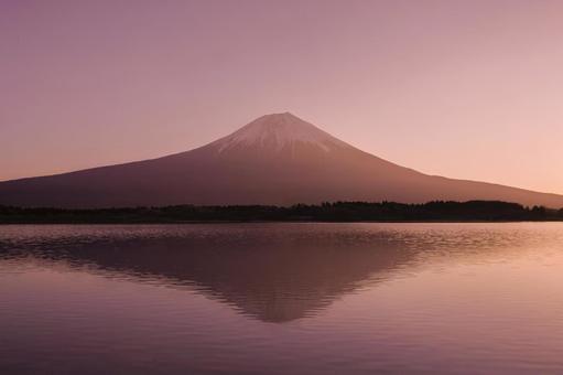富士山　日の出 富士山,山,年賀状の写真素材