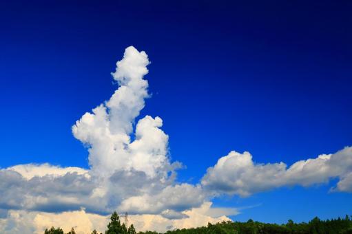 高原の夏空 高原の夏空の写真