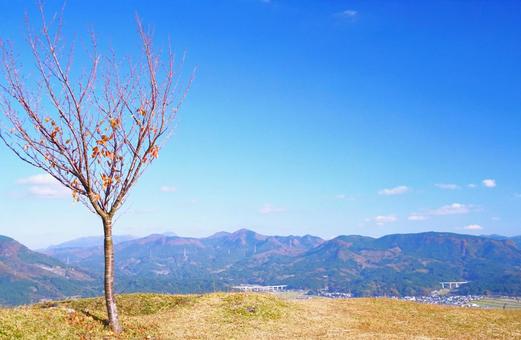 秋の山景①（一本木） 秋,山,木の写真素材