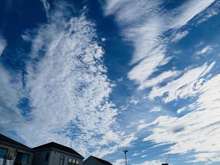 秋の空 秋の空の写真