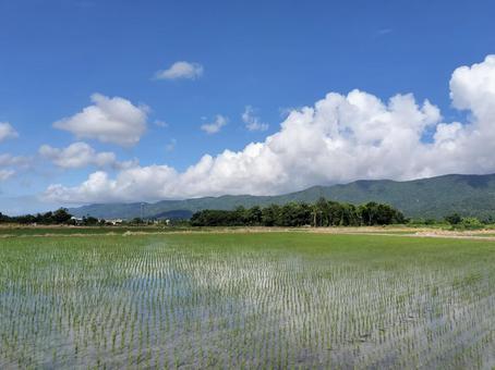旧豊田移民村 田園風景 旧豊田移民村 田園風景 寿豊郷,花蓮,旧豊田移民村の写真素材