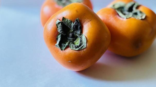 柿　コピースペース 柿,秋,果物の写真素材