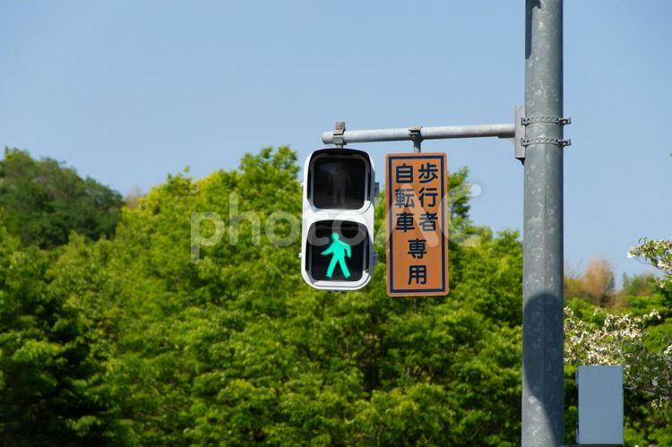 歩行者専用信号の青信号 青信号,歩行者,自転車の写真素材
