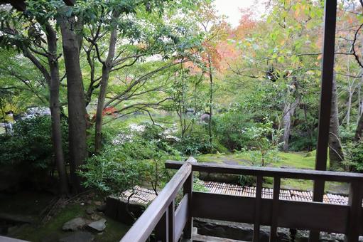 日本庭園 秋 日本庭園 秋の写真