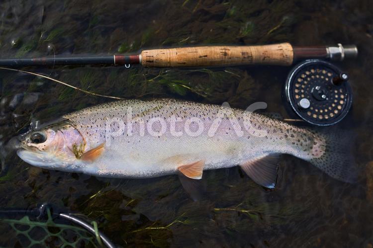 釣り行かないか？ フライフィッシング,フライロッド,小物の写真素材