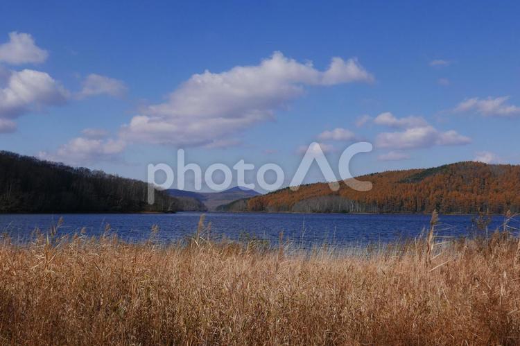 岩洞湖（岩洞ダム）の晩秋の風景 岩洞湖,岩洞ダム,ダムの写真素材