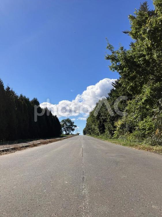 晴れた北海道の田舎の道路 北海道,道路,田舎の写真素材