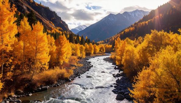 秋の渓谷 川 紅葉 秋の渓谷 川 紅葉の写真