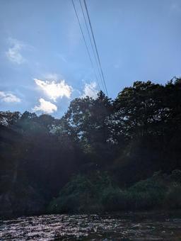 自然 自然の写真