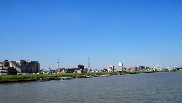 初秋の荒川&東京スカイツリー(江東区) 初秋の荒川&東京スカイツリー(江東区) 初秋,東京スカイツリー,秋晴れの写真素材