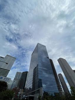 神田川9月:雨上がりの西新宿ビル街 縦 神田川9月:雨上がりの西新宿ビル街 縦の写真