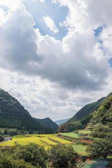 熊本県　番所の棚田の彼岸花 ヒガンバナ,ひがんばな,自然の写真素材
