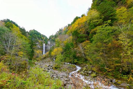 紅葉に包まれた 秋の平湯大滝 紅葉に包まれた 秋の平湯大滝の写真