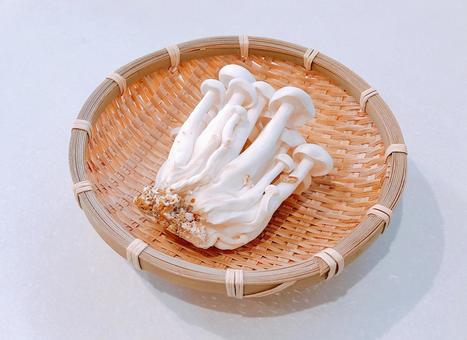 ホワイトしめじ ホワイトしめじ ホワイトしめじ,しめじ,シメジの写真素材