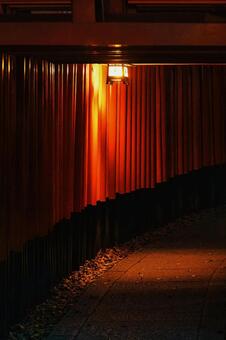深夜の伏見稲荷で輝く千本鳥居 京都,伏見稲荷,鳥居の写真素材