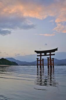 宮島：厳島神社・大鳥居・夕焼け 宮島,厳島神社,日本三景の写真素材