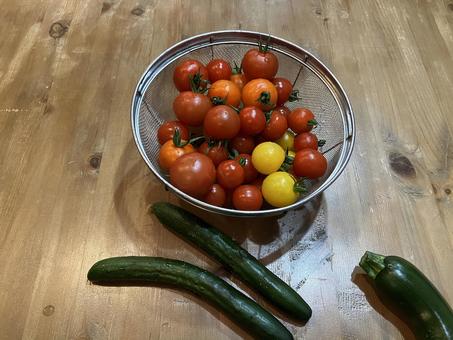 採れたて新鮮野菜2 採れたて新鮮野菜2の写真