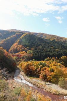 紅葉　松川渓谷　赤い橋 山,秋,風景の写真素材