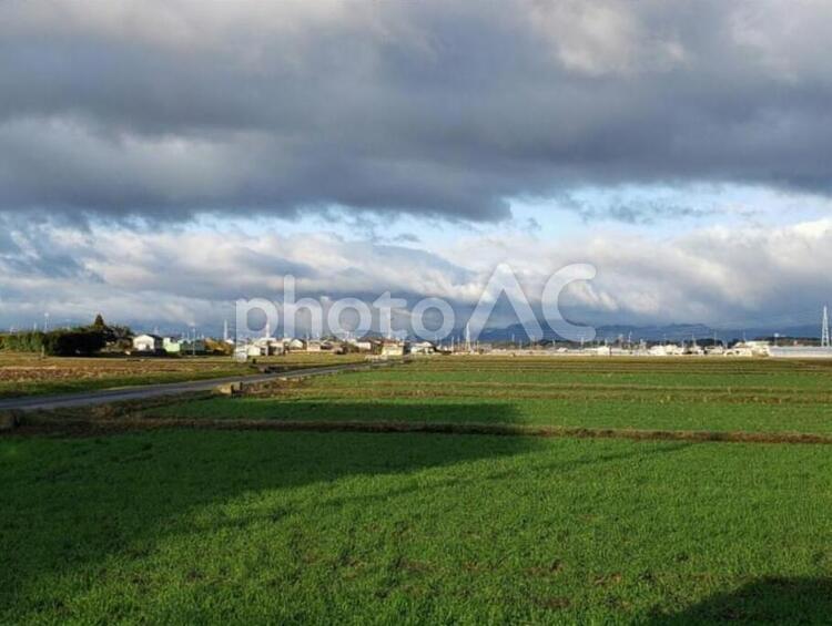 田舎の風景 田んぼ,田舎,景色の写真素材
