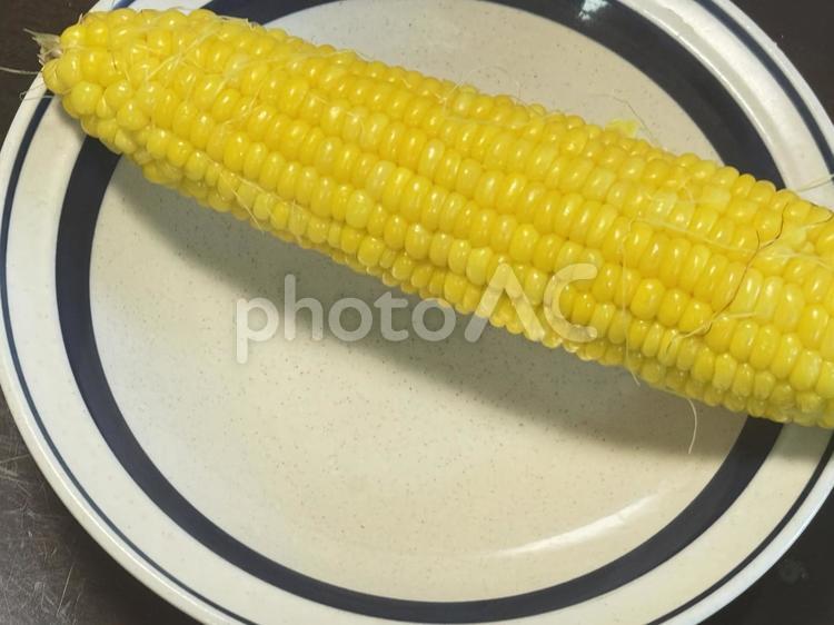 とうもろこし とうもろこし,美味しい,おいしいの写真素材