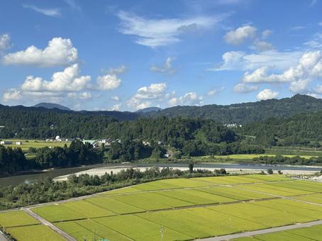 信濃川の見える風景 信濃川の見える風景の写真