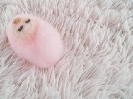 赤ちゃん 赤ちゃん 赤ちゃん,おくるみ,睡眠の写真素材