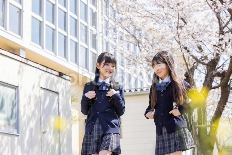 春の校舎と女子学生 女子学生,学生,制服の写真素材
