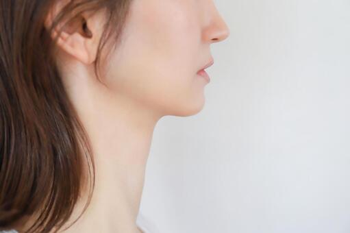 女性の横顔　フェイスライン 女性,横顔,フェイスラインの写真素材