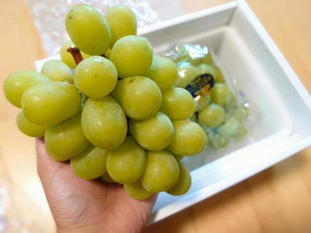 Photo, shine muscat, muscat, grape, 