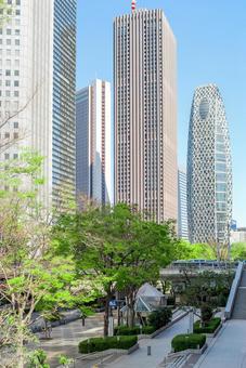 西新宿 都庁前から見た高層ビル群(東京) 西新宿 都庁前から見た高層ビル群(東京) 東京,都庁,第一庁舎の写真素材