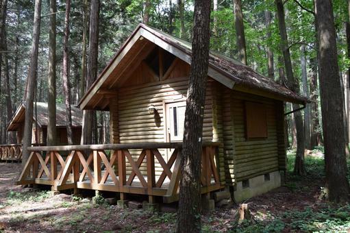 森林内に建つログハウス ログハウス,ログホーム,ログキャビンの写真素材