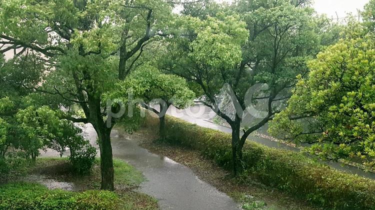 ベランダから見える大雨でできた水たまり ベランダ,雨,景色の写真素材