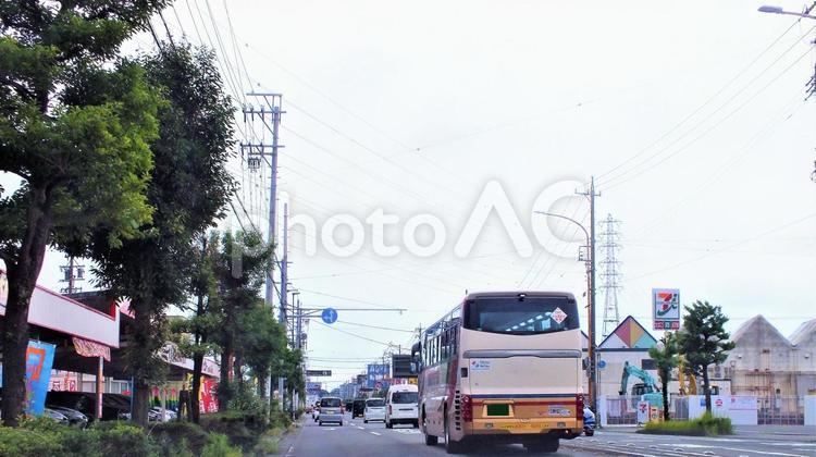 街路樹の道路風景 街路樹,グリーン,バスの写真素材