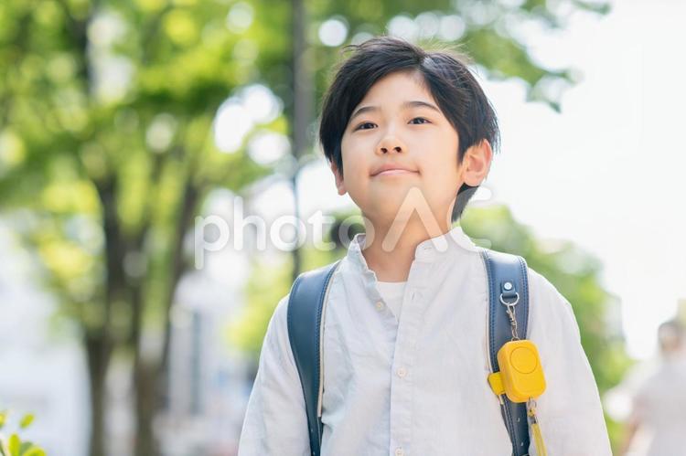 登校する小学生 希望,登校,下校の写真素材