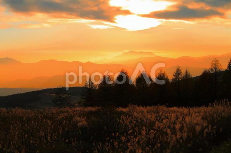 草原の夕焼けシルエット 夕焼け,シルエット,木の写真素材