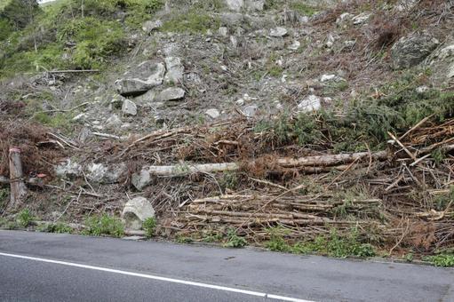 山林伐採で道路脇に崩れた木材の写真