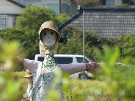 パッチリした目が印象的な案山子 パッチリした目が印象的な案山子の写真