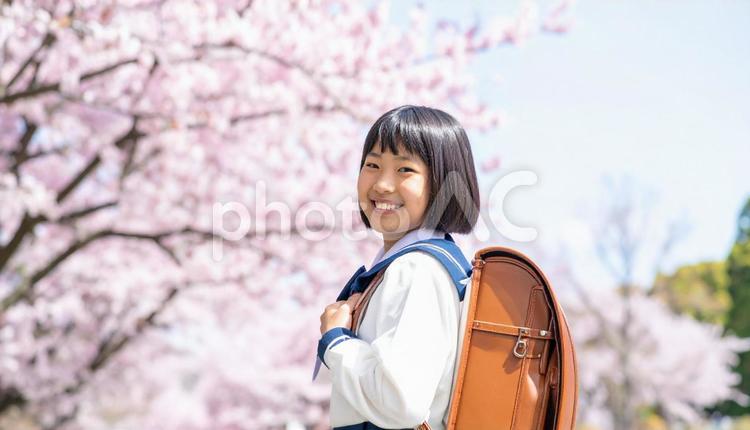 桜の下でランドセルを背負う日本人の女の子 入学式,1年生,4月の写真素材