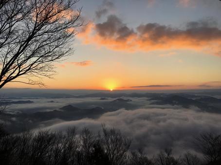 初日の出と雲海 初日の出と雲海の写真