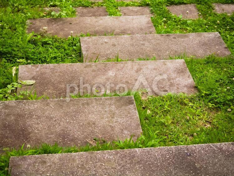 長方形の石段 階段,踏段,ハイキングの写真素材