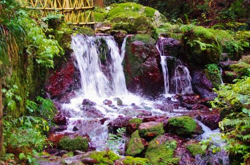 名水百選、瓜割の滝の鮮やかな景観 瓜割の滝,福井県,滝の写真素材