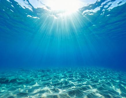 海の風景 夏 水中の様子3 海の風景 夏 水中の様子3の写真