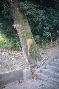 竹箒 竹箒 竹,たけ,ほうきの写真素材