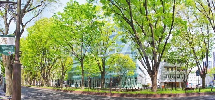 仙台メディアテーク前の道路 仙台,メディアテーク,道路の写真素材